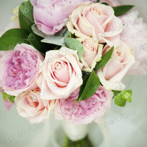 A bridal bouquet of pastel coloured pink roses, and pale lavender peonies with small… A bridal bouquet of pastel coloured pink roses, and pale lavender peonies with small…