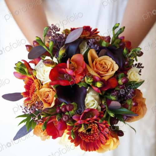 A bride holding a bridal bouquet of colourful red and orange flowers with purple toned… A bride holding a bridal bouquet of colourful red and orange flowers with purple toned…