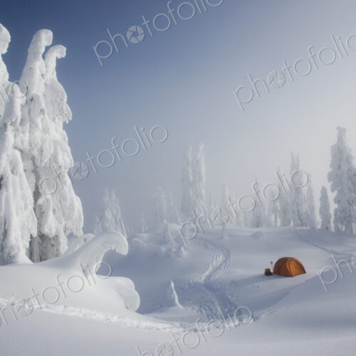 A bright orange tent among snow covered trees, winter camping A bright orange tent among snow covered trees, winter camping