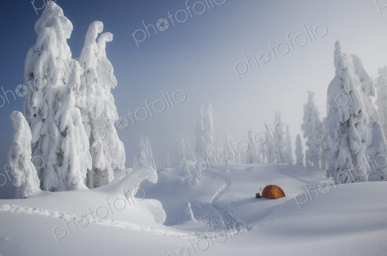 A bright orange tent among snow covered trees, winter camping