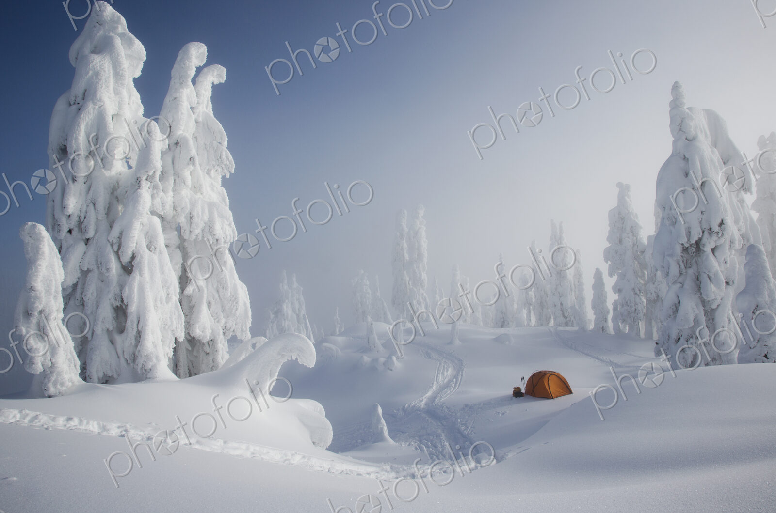 A bright orange tent among snow covered trees, winter camping