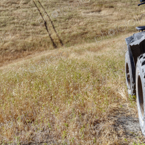 A buggy or quad bike in wheel tracks in a high grass field with rolling terrain,… A buggy or quad bike in wheel tracks in a high grass field with rolling terrain,…
