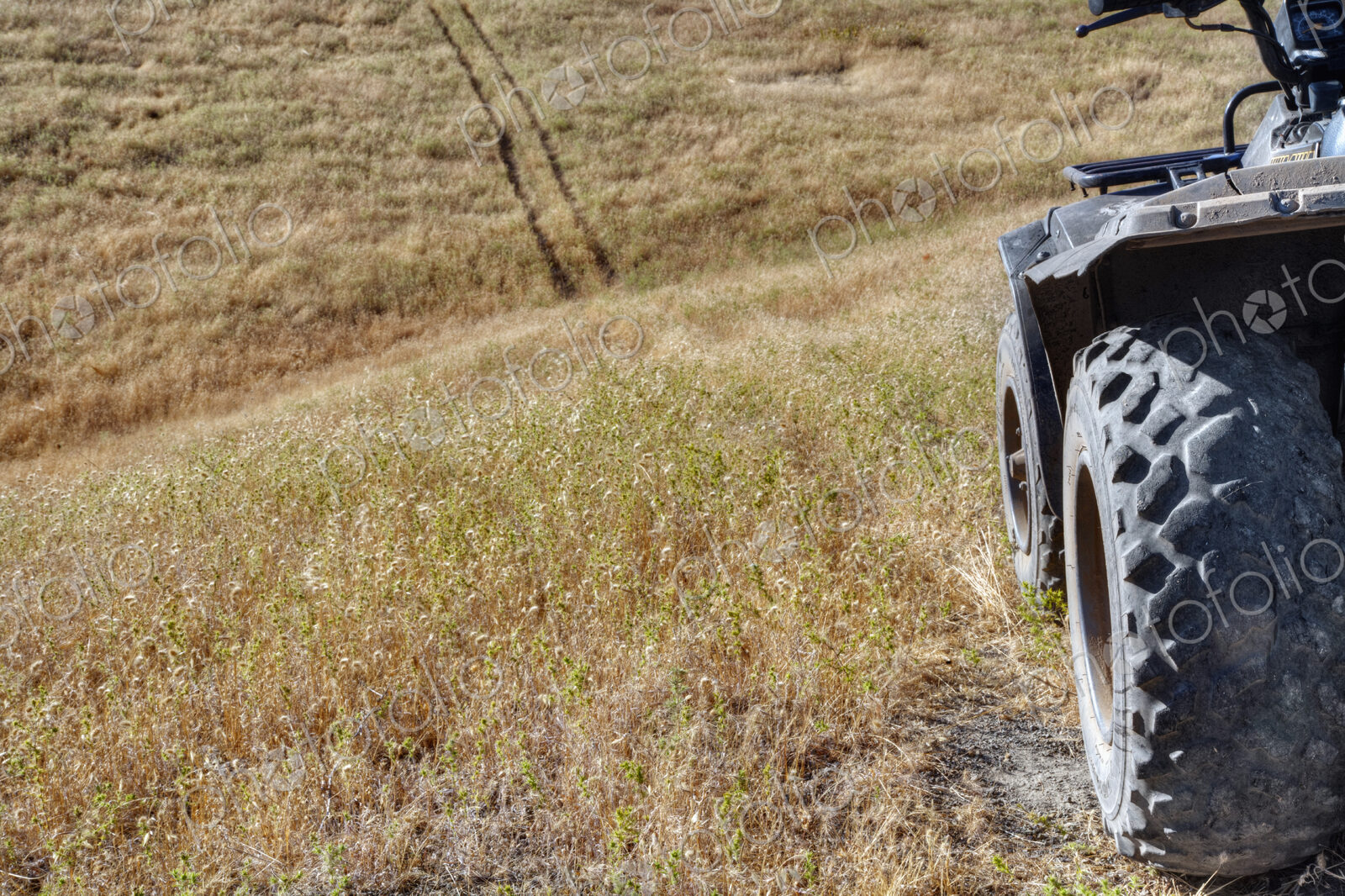 A buggy or quad bike in wheel tracks in a high grass field with rolling terrain,…