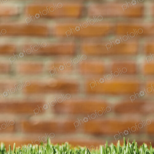 A building wall with lush green grass in the foreground. Seattle, Washington, USA