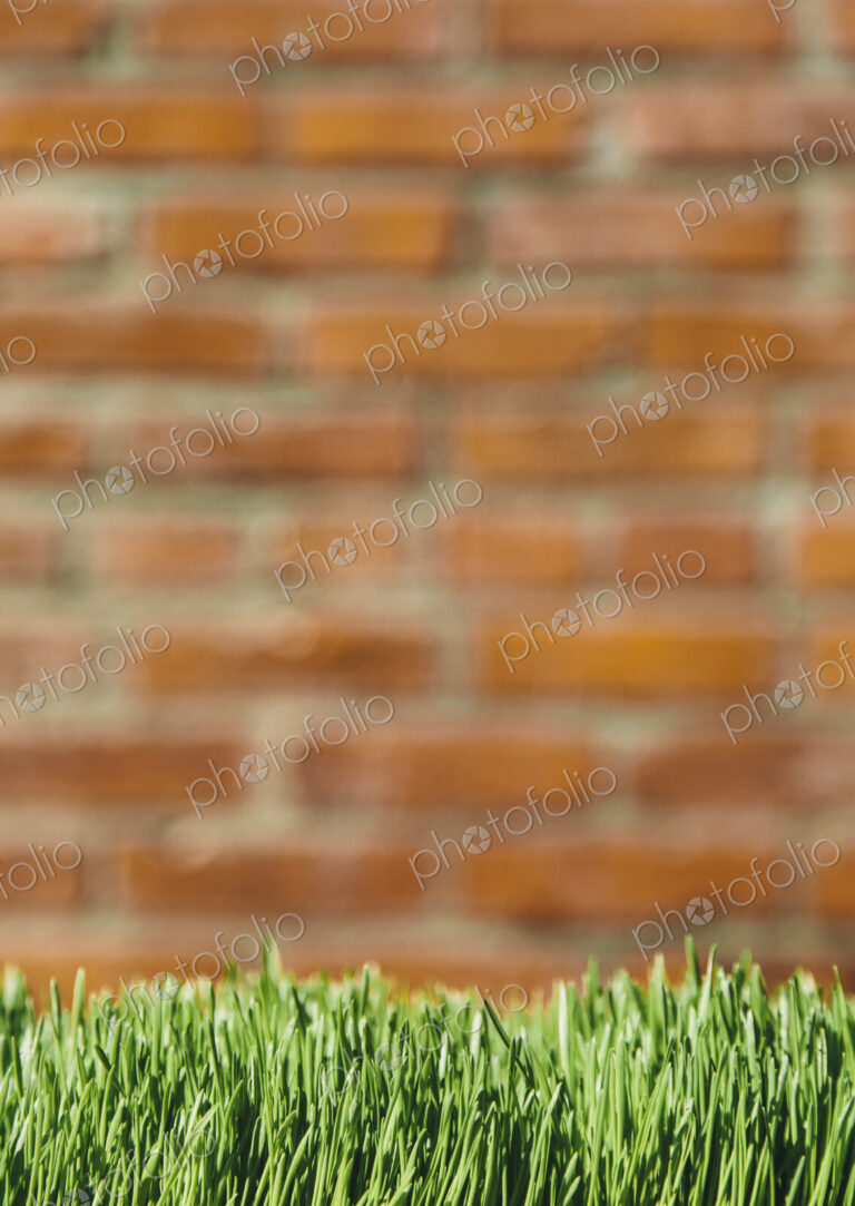 A building wall with lush green grass in the foreground. Seattle, Washington, USA