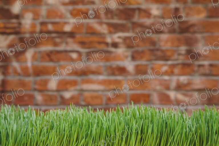 A building wall with lush green grass in the foreground. Seattle, Washington, USA