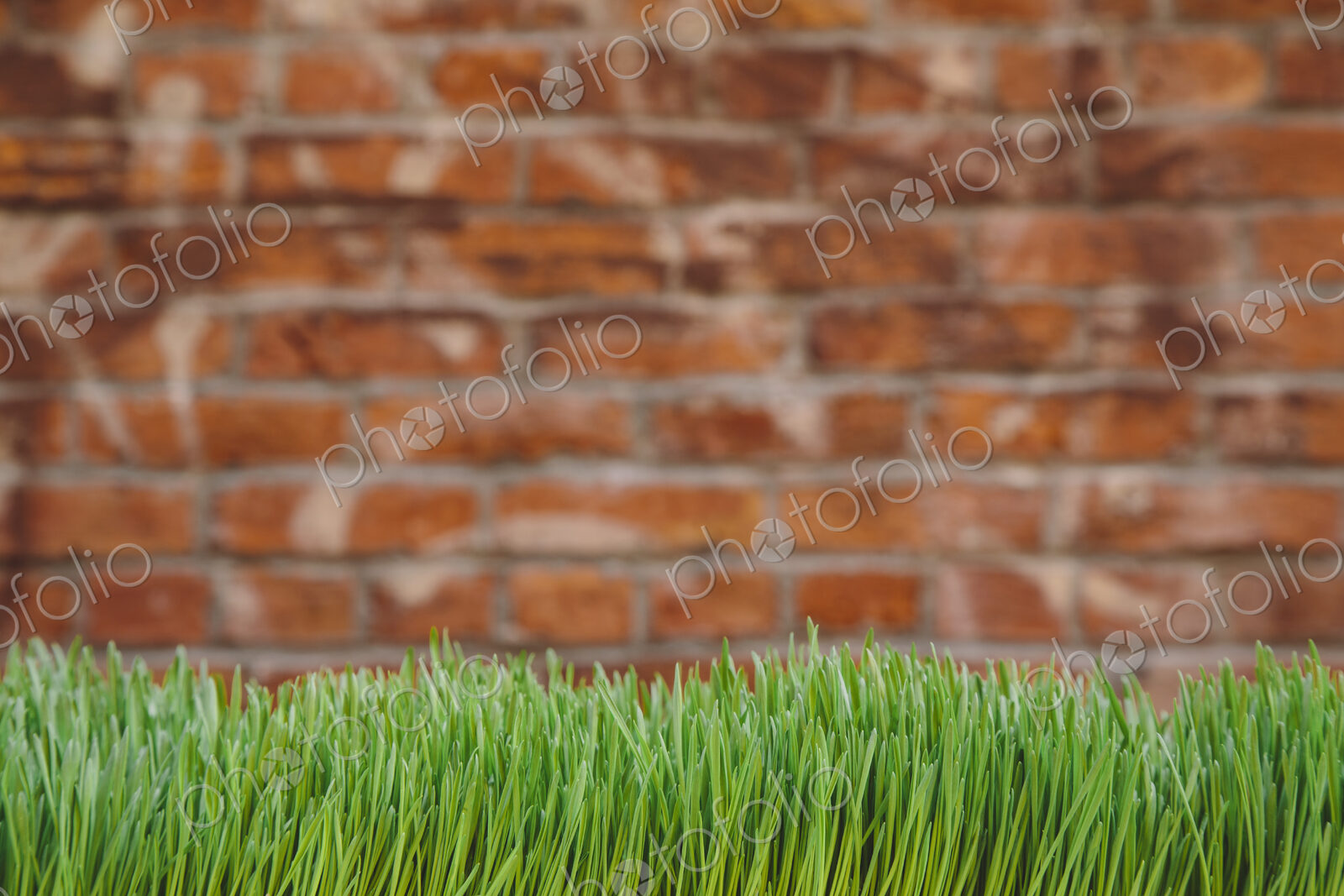 A building wall with lush green grass in the foreground. Seattle, Washington, USA