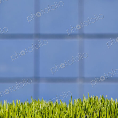 A building wall with lush green grass in the foreground. Seattle, Washington, USA