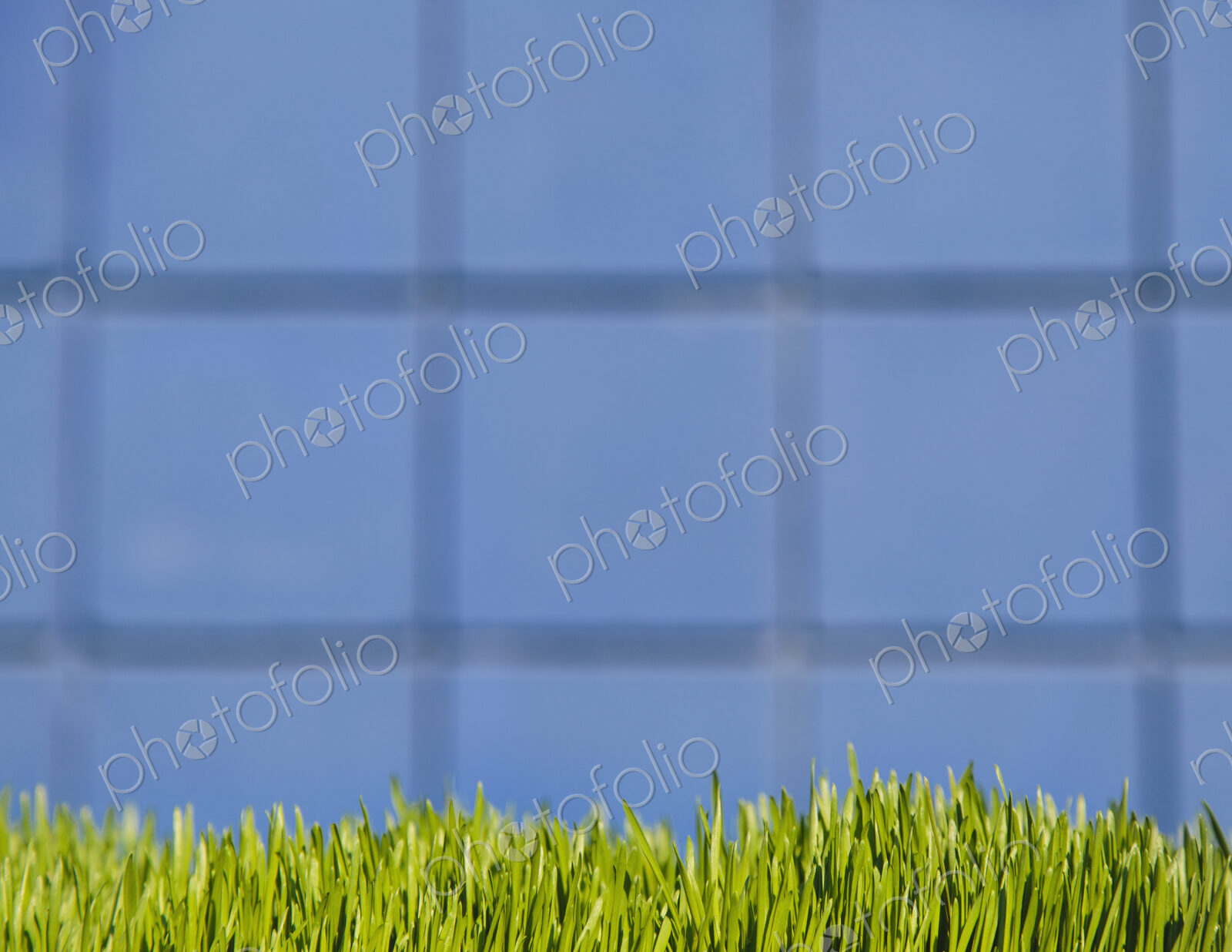 A building wall with lush green grass in the foreground. Seattle, Washington, USA