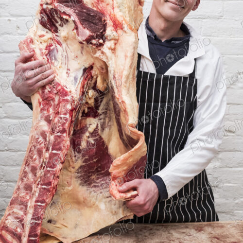 A butcher holding a carcass of spring lamb butchered and halved.