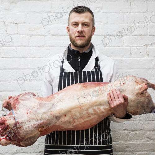 A butcher holding a complete prepared lamb meat carcass for cutting into smaller…
