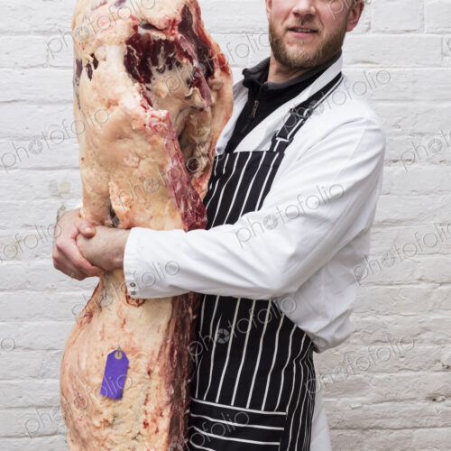 A butcher holding a complete prepared lamb meat carcass for cutting into smaller…