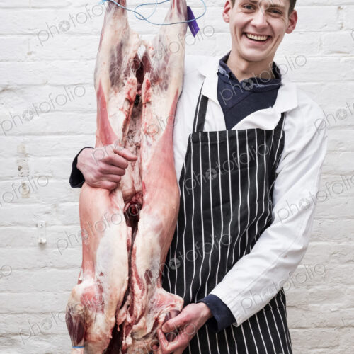 A butcher holding a complete prepared lamb meat carcass for cutting into smaller…