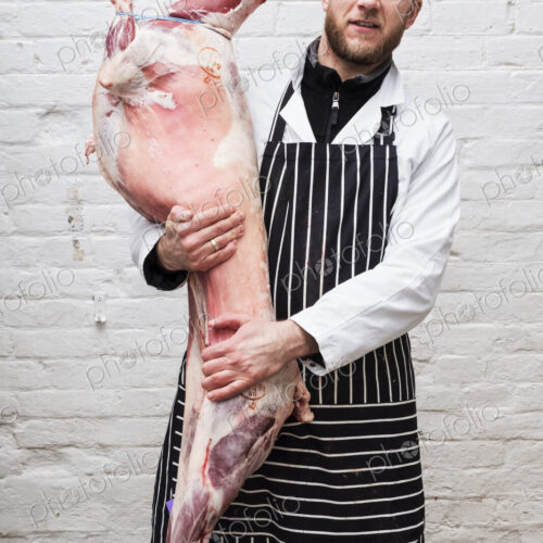 A butcher holding a complete prepared lamb meat carcass for cutting into smaller…