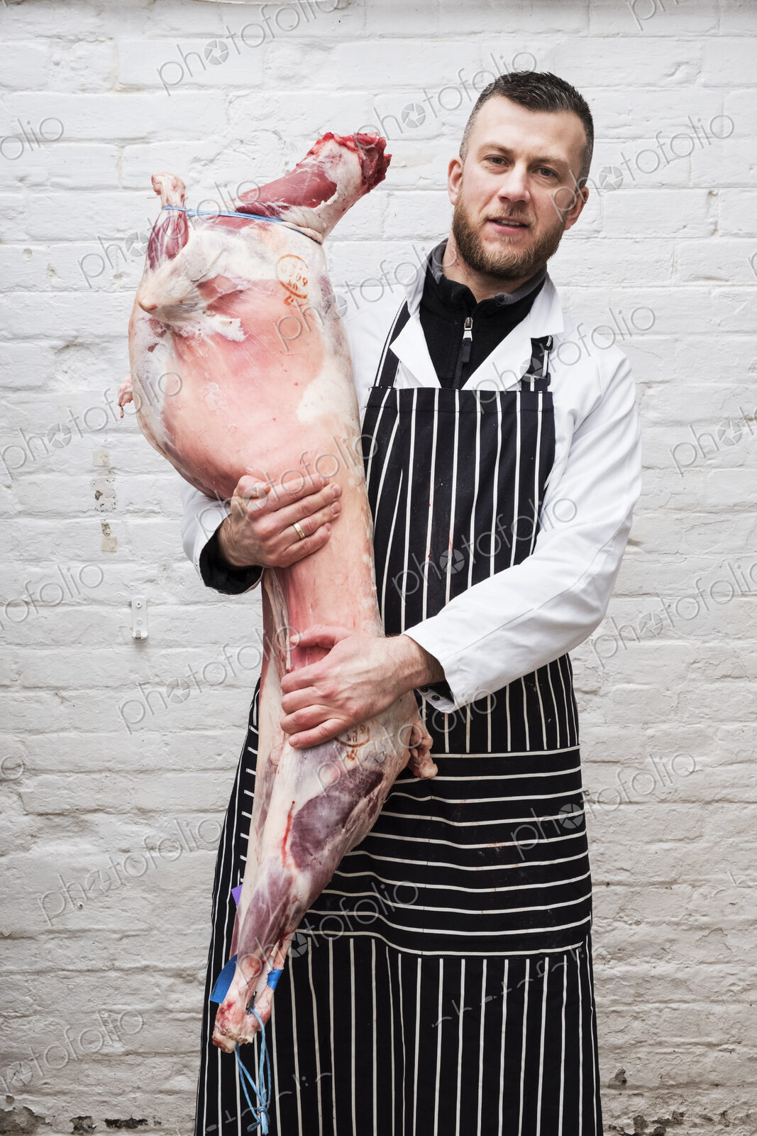 A butcher holding a complete prepared lamb meat carcass for cutting into smaller…
