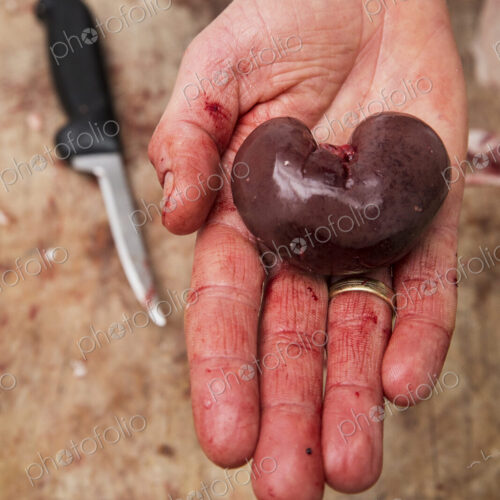 A butcher holding a fresh lamb kidney on the palm of his hand.