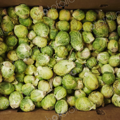 A cardboard crate full of brussels sprouts, seen from above. A cardboard crate full of brussels sprouts, seen from above.