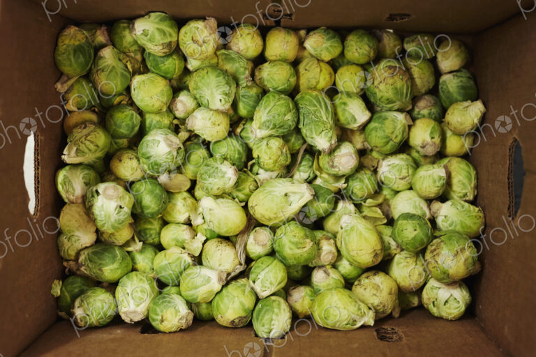 A cardboard crate full of brussels sprouts, seen from above.