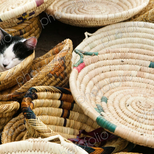 A cat asleep in baskets for sale at the market. Morocco, Africa, cat, Felis catus A cat asleep in baskets for sale at the market. Morocco, Africa, cat, Felis catus