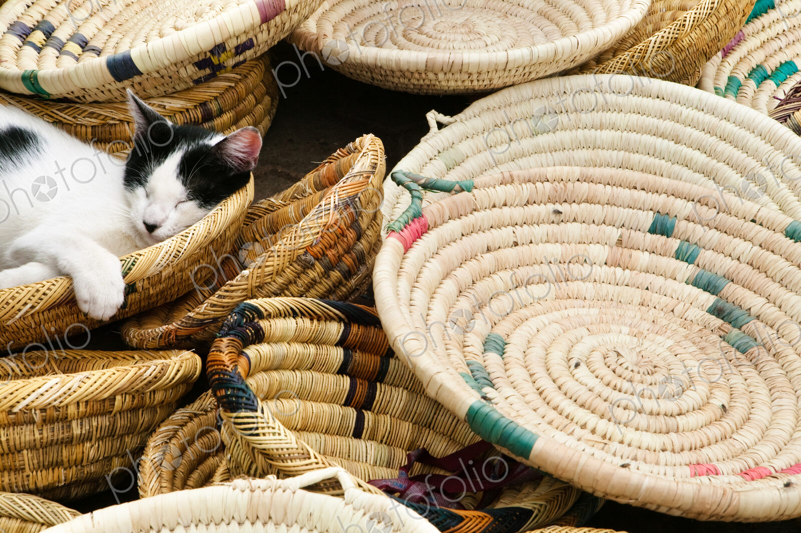 A cat asleep in baskets for sale at the market. Morocco, Africa, cat, Felis catus