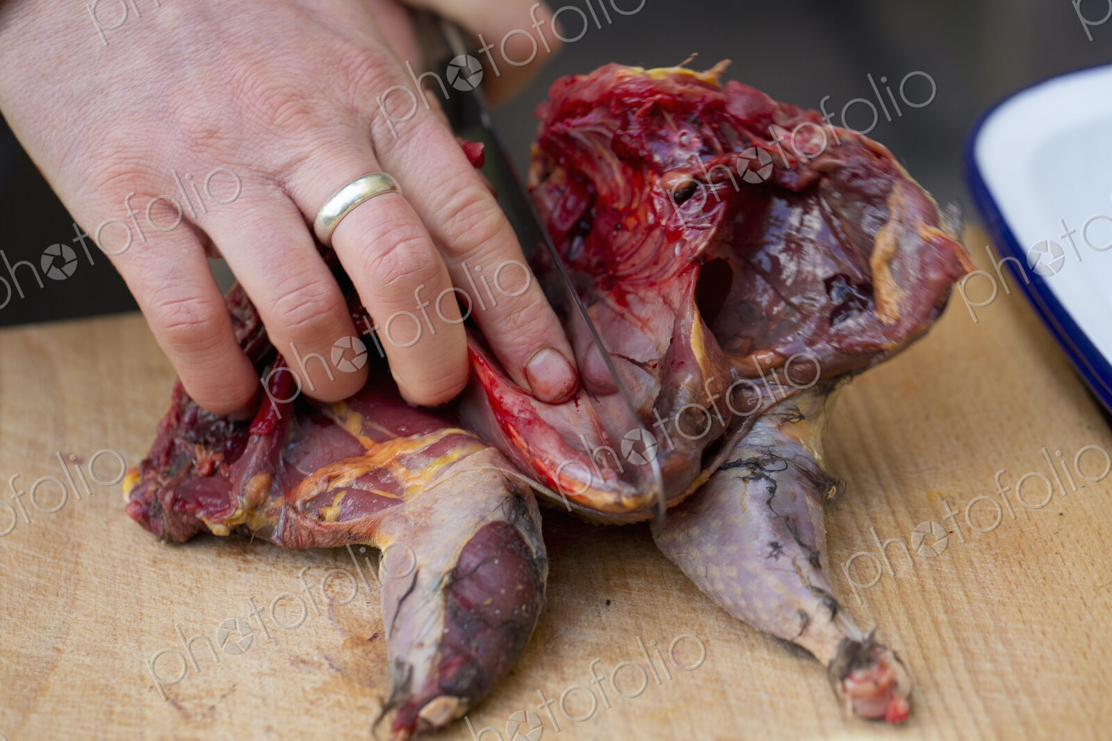 A chef preparing a game bird for cooking, spatchcocking the bird.