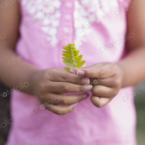 A child, a girl in a pink shirt holding a small fern leaf in her hands.