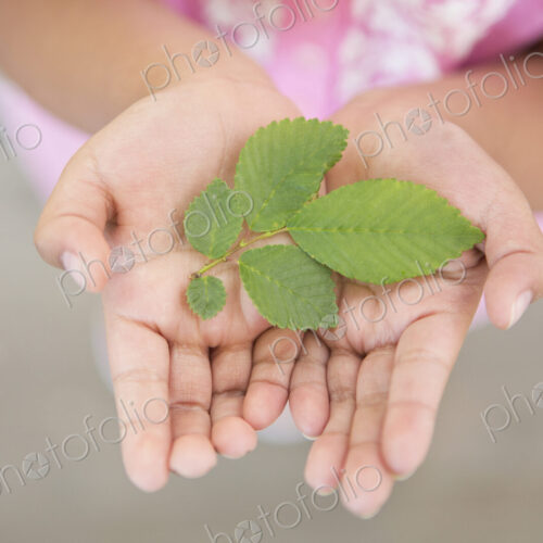 A child holding green leaves in the palms of her hands.
