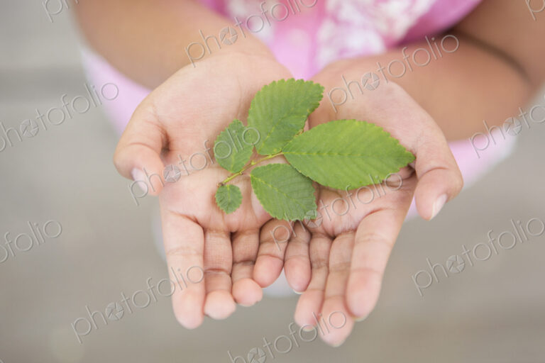 A child holding green leaves in the palms of her hands.
