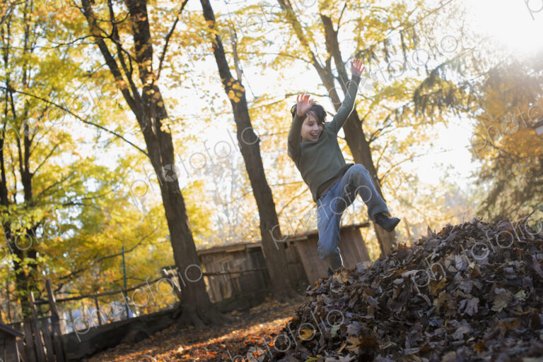 A child in autumn sunshine in a woodland. Leaping into a large pile of raked up autumn…