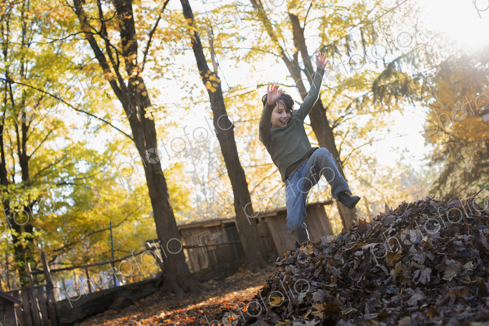 A child in autumn sunshine in a woodland. Leaping into a large pile of raked up autumn…