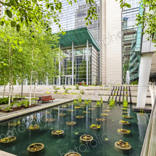 A city square in Seattle, a plaza with trees and water pool with plants. A city square in Seattle, a plaza with trees and water pool with plants.