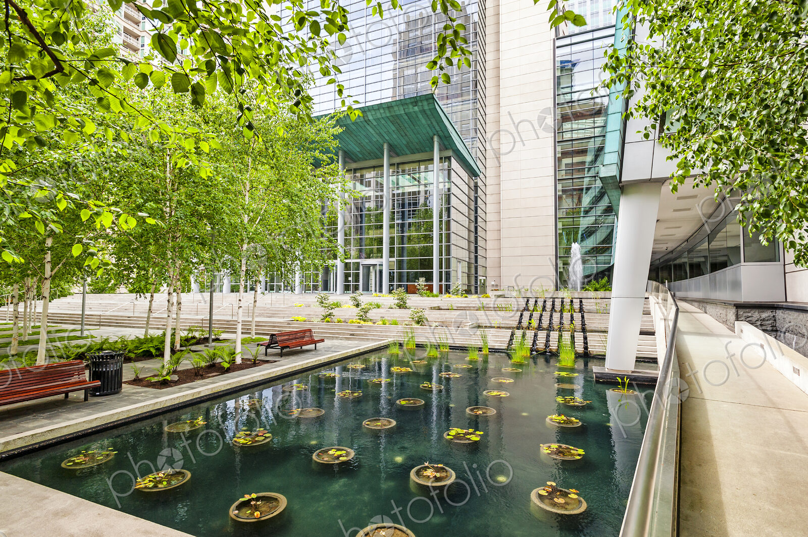 A city square in Seattle, a plaza with trees and water pool with plants.