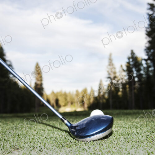 A closeup of a driver and a ball about to be driven on a golf course. A closeup of a driver and a ball about to be driven on a golf course.