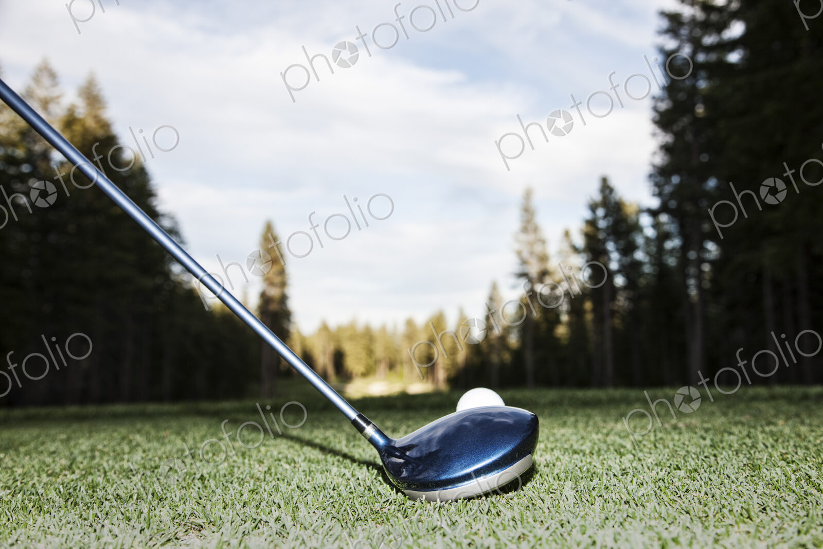 A closeup of a driver and a ball about to be driven on a golf course.