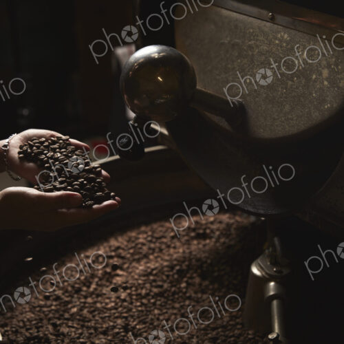 A coffee shop. A person holding a handful of fresh roasted beans above a metal drum…