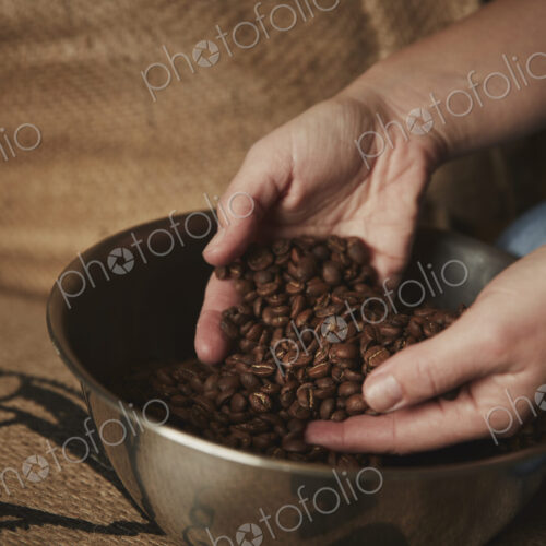 A coffee shop. A person holding fresh roasted beans in her hands. A coffee shop. A person holding fresh roasted beans in her hands.