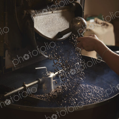 A coffee shop. A person opening a metal shute and coffee beans falling into a roasting… A coffee shop. A person opening a metal shute and coffee beans falling into a roasting…