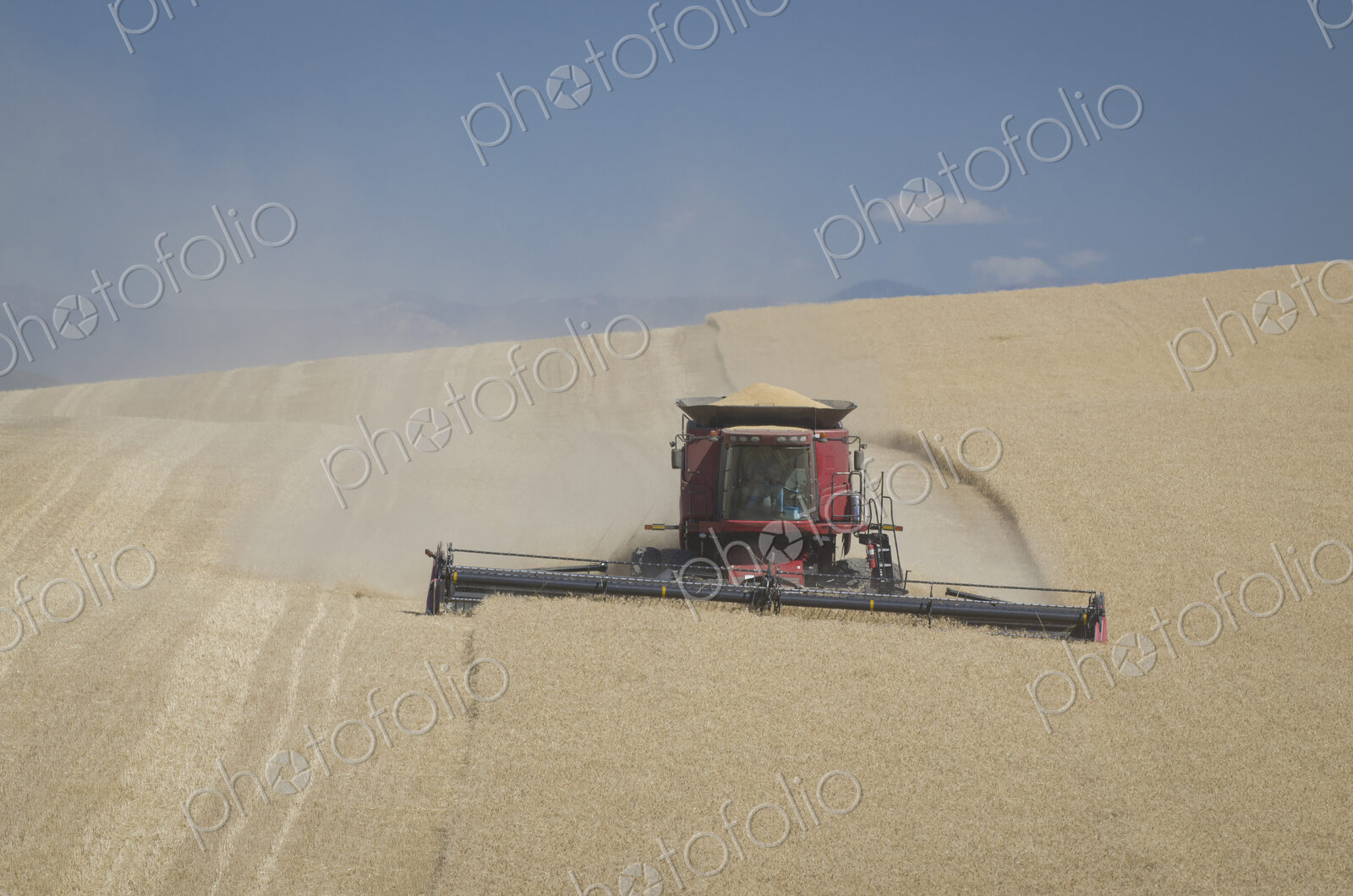A combine harvester working across a field, driving across the undulating landscape,…