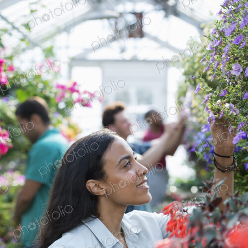 A commercial greenhouse in a plant nursery growing organic flowers. A group of people… A commercial greenhouse in a plant nursery growing organic flowers. A group of people…