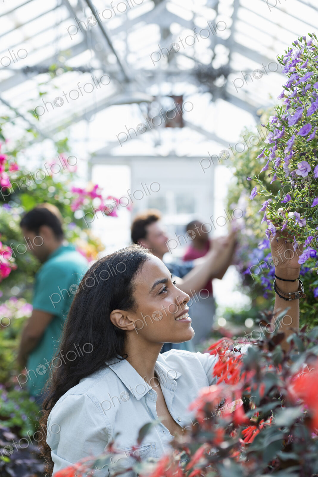 A commercial greenhouse in a plant nursery growing organic flowers. A group of people…