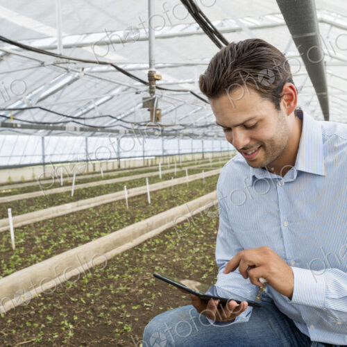 A commercial greenhouse in a plant nursery growing organic flowers. A man holding a… A commercial greenhouse in a plant nursery growing organic flowers. A man holding a…