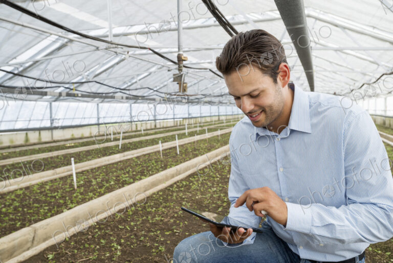 A commercial greenhouse in a plant nursery growing organic flowers. A man holding a…