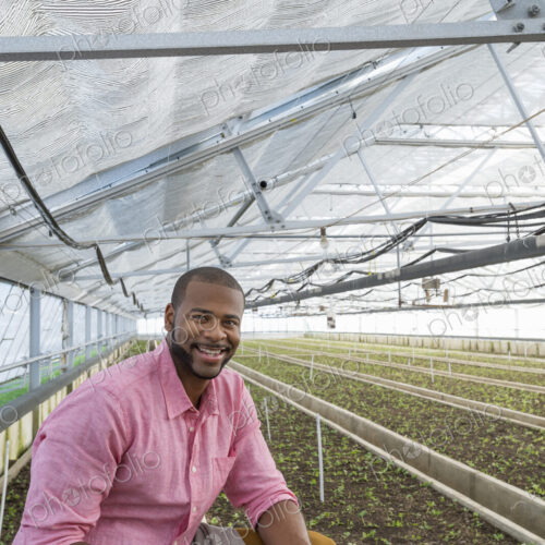 A commercial greenhouse in a plant nursery growing organic flowers. A man holding a… A commercial greenhouse in a plant nursery growing organic flowers. A man holding a…