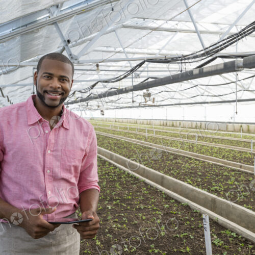 A commercial greenhouse in a plant nursery growing organic flowers. A man holding a… A commercial greenhouse in a plant nursery growing organic flowers. A man holding a…