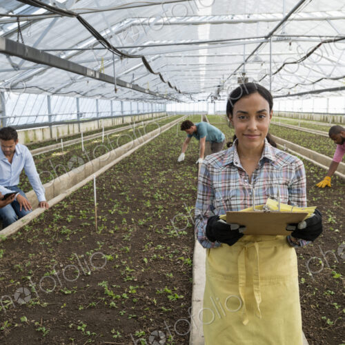 A commercial greenhouse in a plant nursery growing organic flowers. A woman using a… A commercial greenhouse in a plant nursery growing organic flowers. A woman using a…