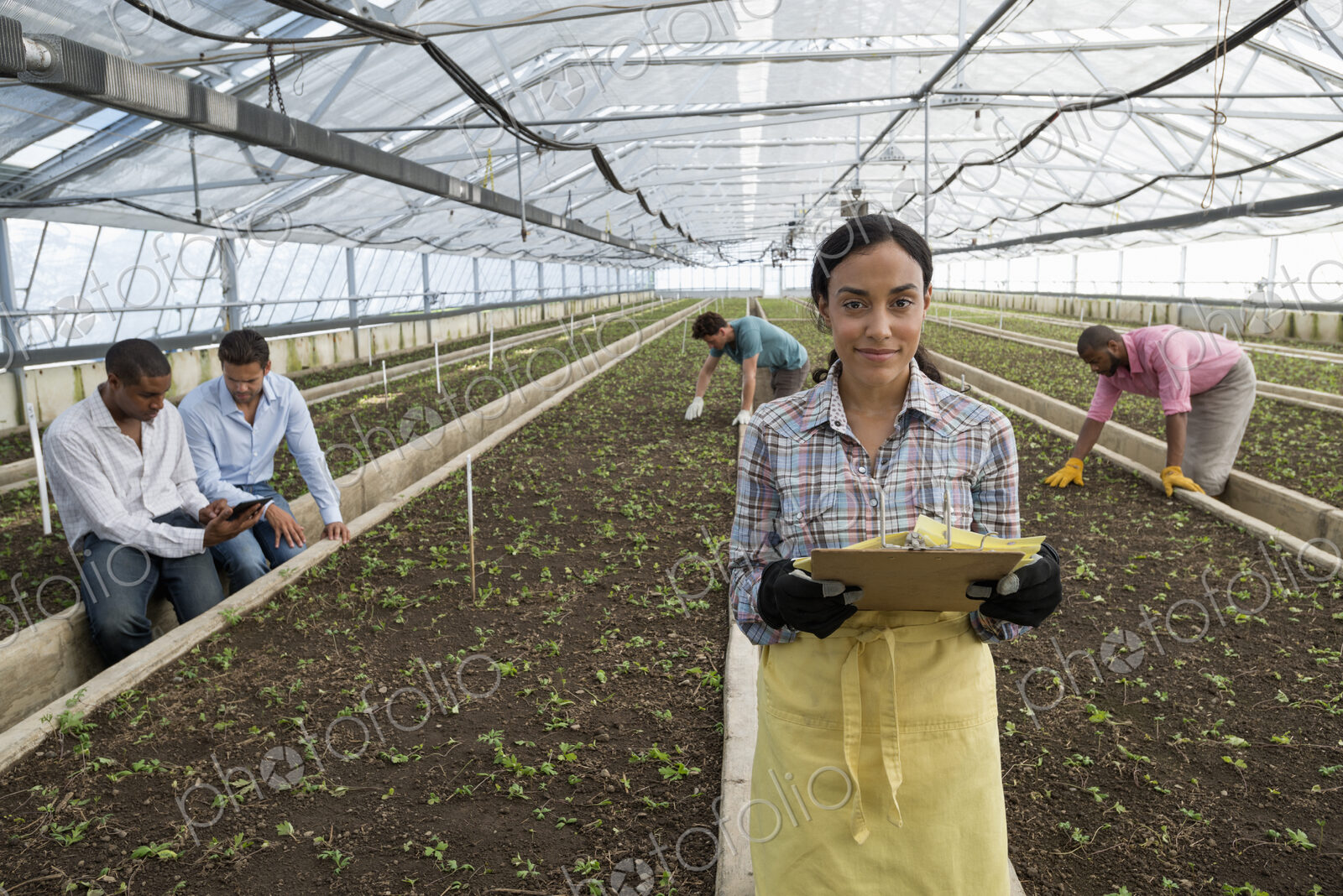 A commercial greenhouse in a plant nursery growing organic flowers. A woman using a…