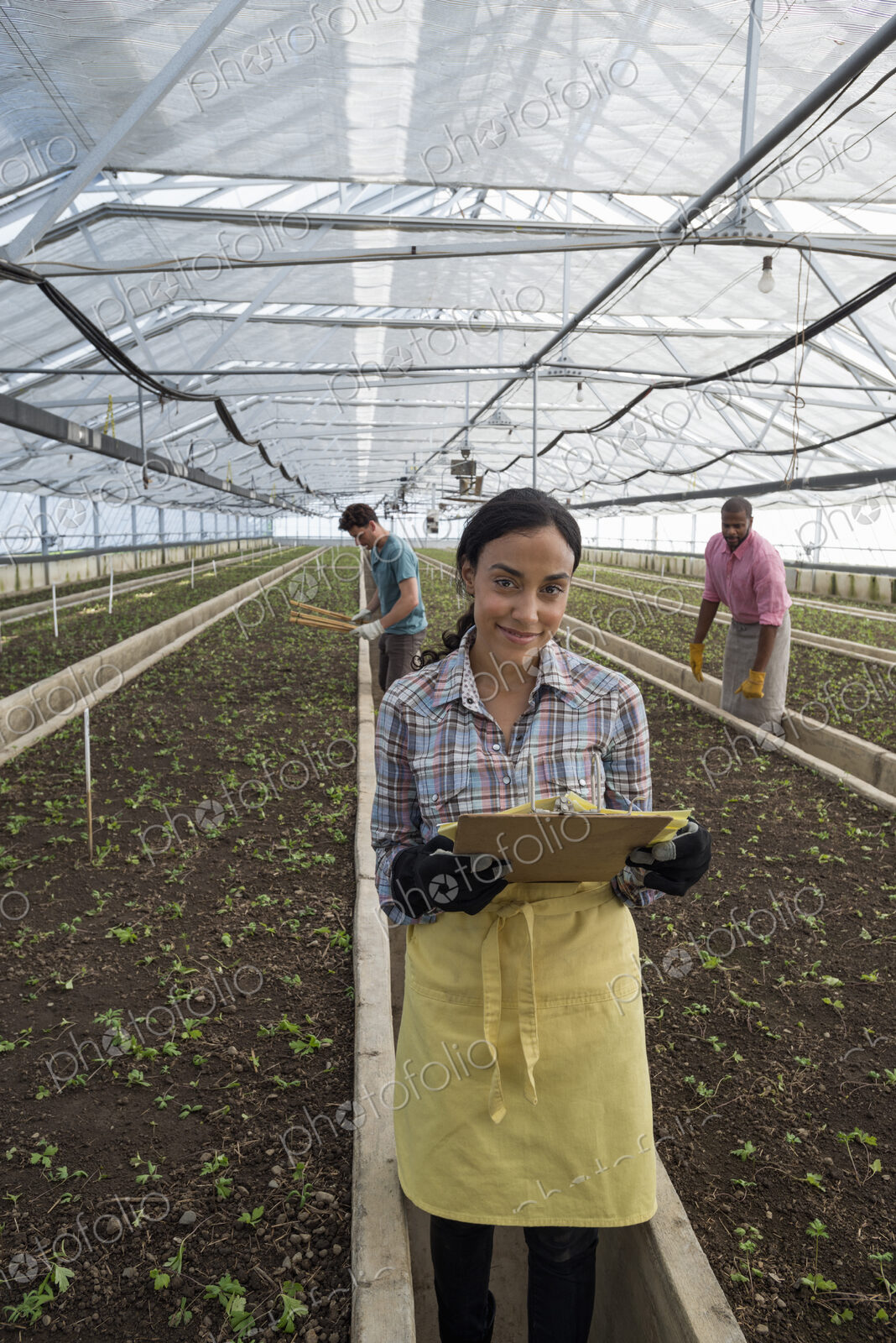 A commercial greenhouse in a plant nursery growing organic flowers. A woman using a…