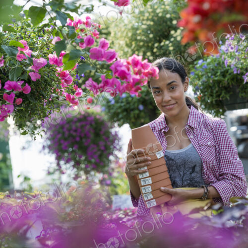 A commercial greenhouse in a plant nursery growing organic flowers. A woman working,… A commercial greenhouse in a plant nursery growing organic flowers. A woman working,…