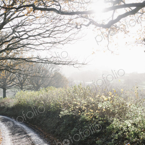 A country lane in winter. A country lane in winter.