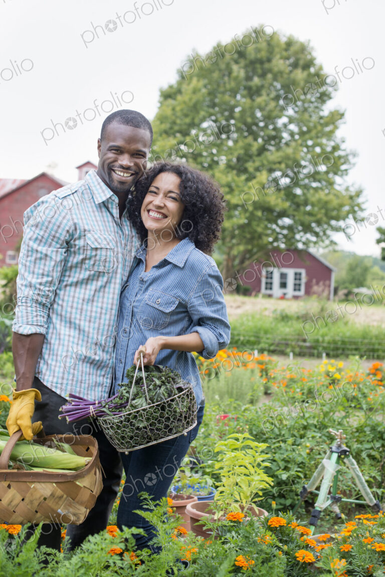 A couple carrying baskets of freshly harvested corn on the cob